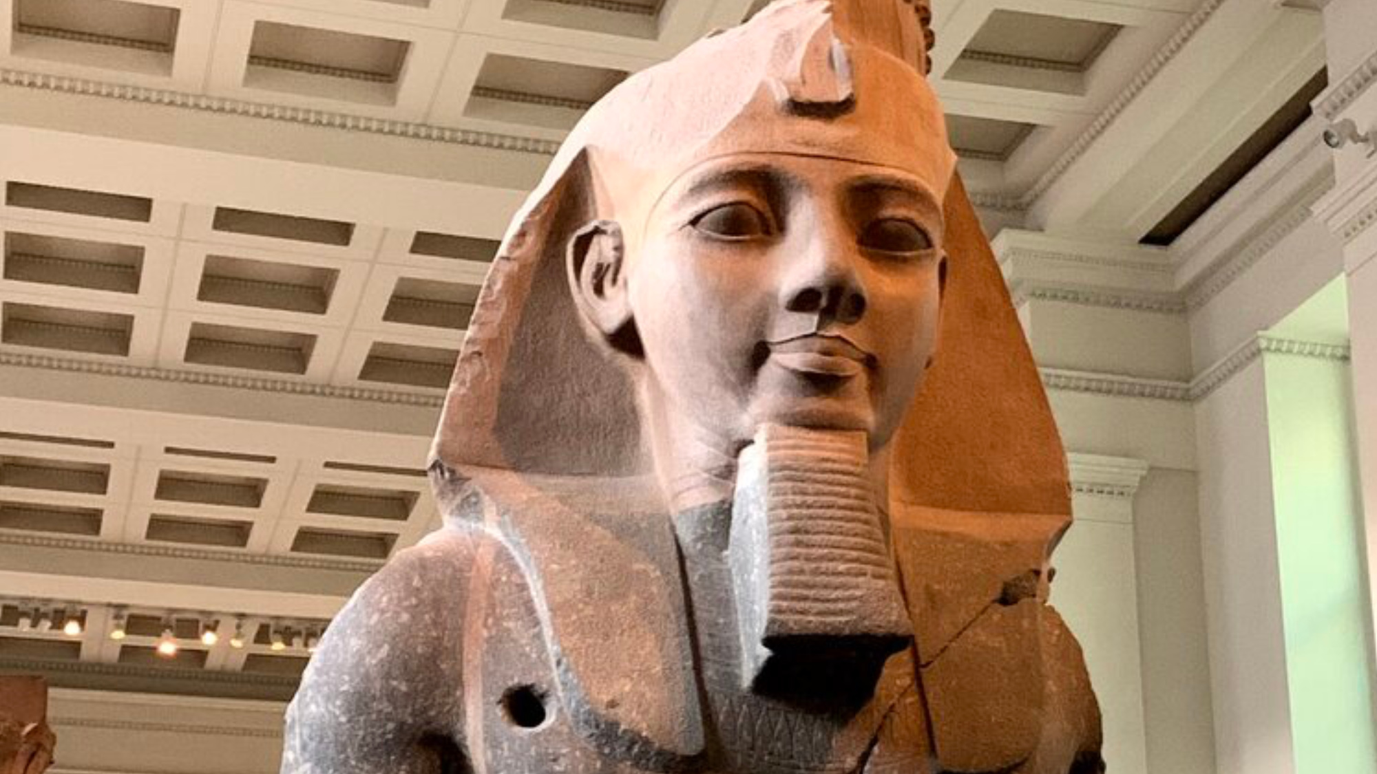 british museum private tour guide egypt